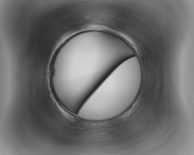 X0000116381430200912020937