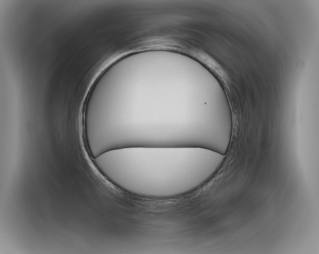 X0000116381431200912020937