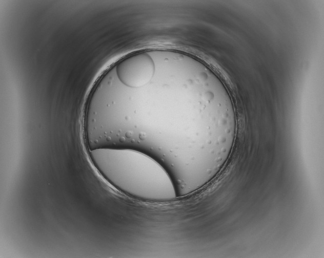 X0000116381432200912020937