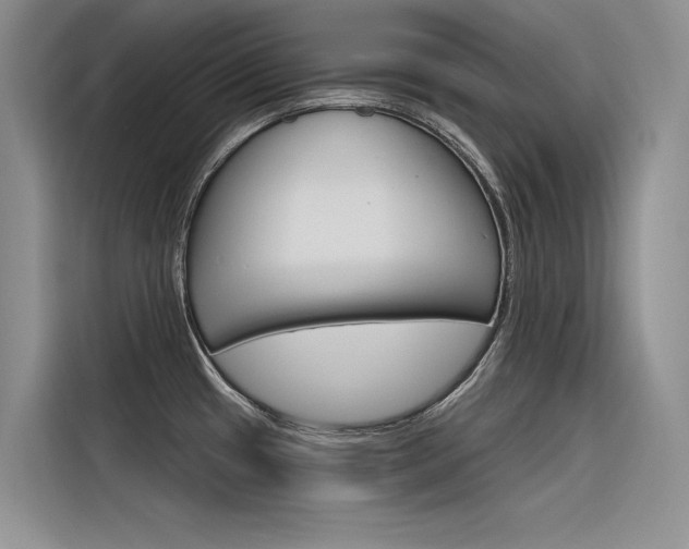X0000116381433200912020937