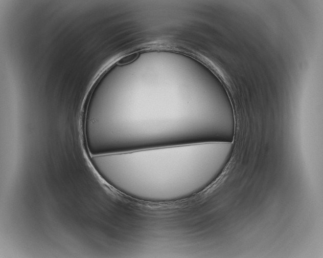 X0000116381434200912020937