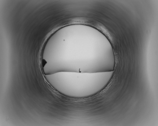X0000116381435200912020937