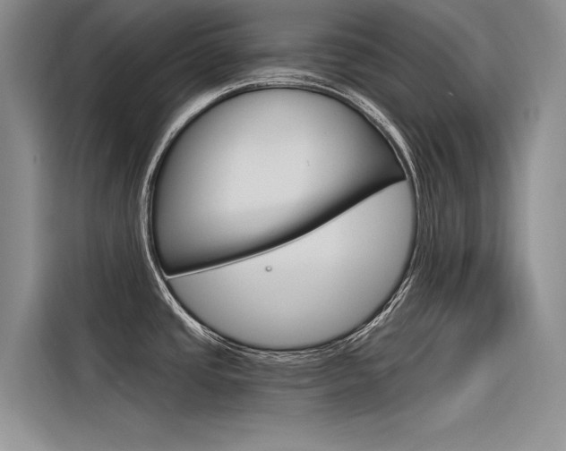 X0000116381437200912020937
