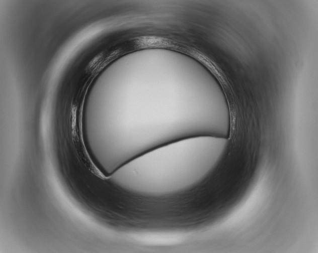 X0000116381439200912020937