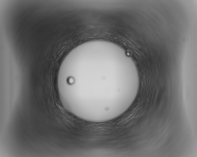X0000116381441200912020936