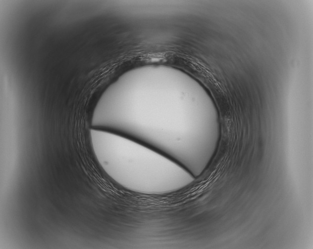 X0000116381442200912020936