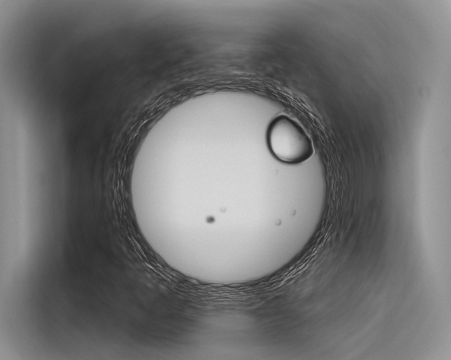 X0000116381445200912020936