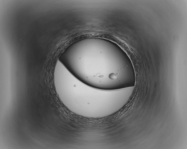 X0000116381447200912020936