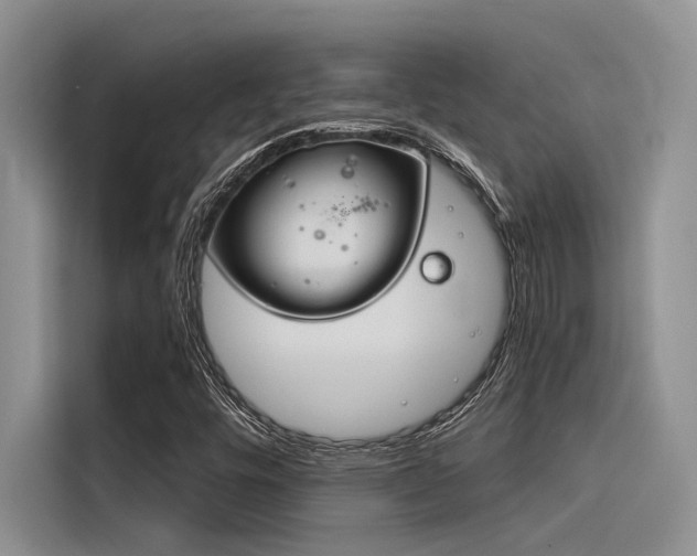 X0000116381448200912020936