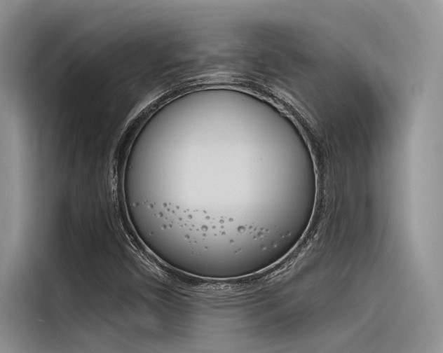 X0000116381450200912020936