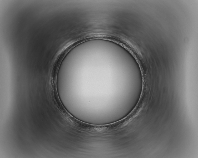 X0000116381453200912020936