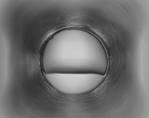 X0000116381455200912020936