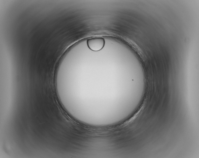 X0000116381457200912020936