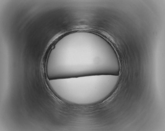 X0000116381458200912020936