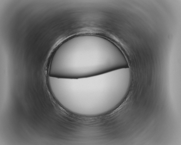 X0000116381459200912020936