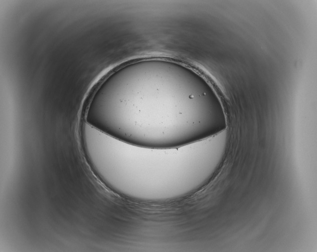 X0000116381460200912020936