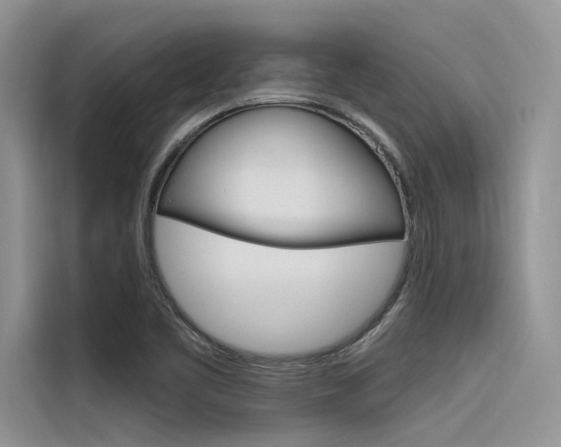 X0000116381461200912020936