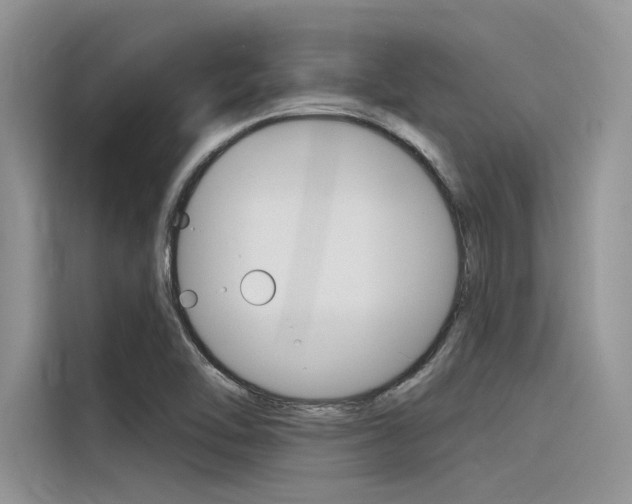 X0000116381462200912020936