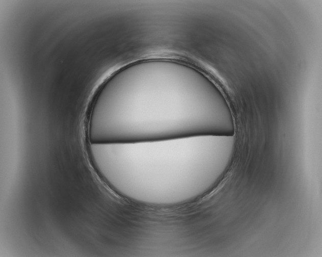 X0000116381463200912020936