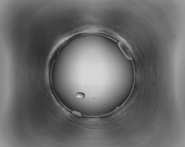 X0000116381464200912020936