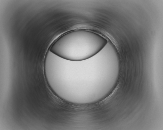 X0000116381465200912020936