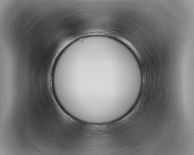 X0000116381466200912020936