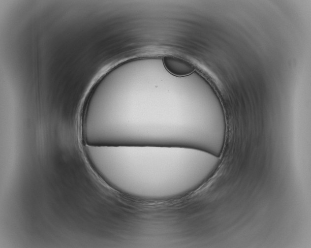 X0000116381467200912020936