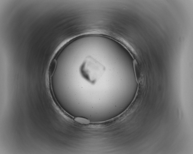 X0000116381468200912020936