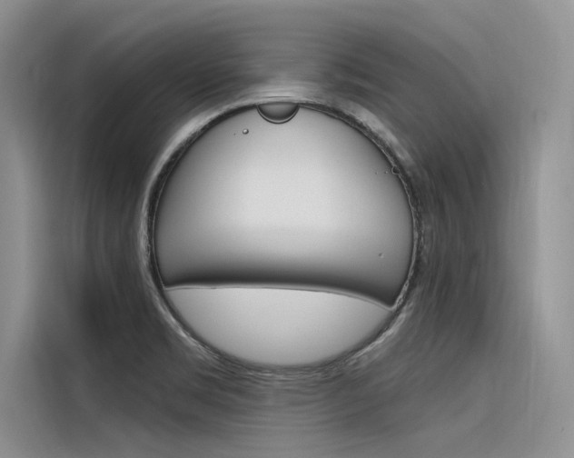 X0000116381469200912020936