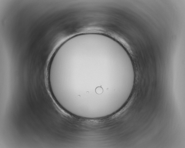X0000116381470200912020936