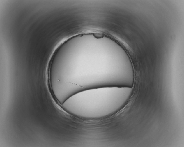 X0000116381471200912020936