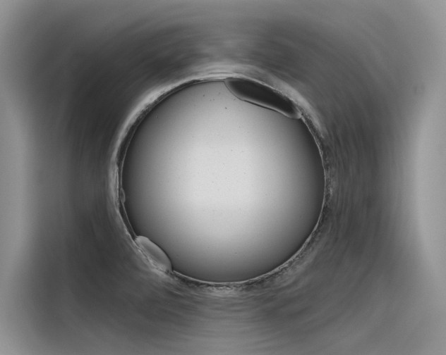 X0000116381472200912020936