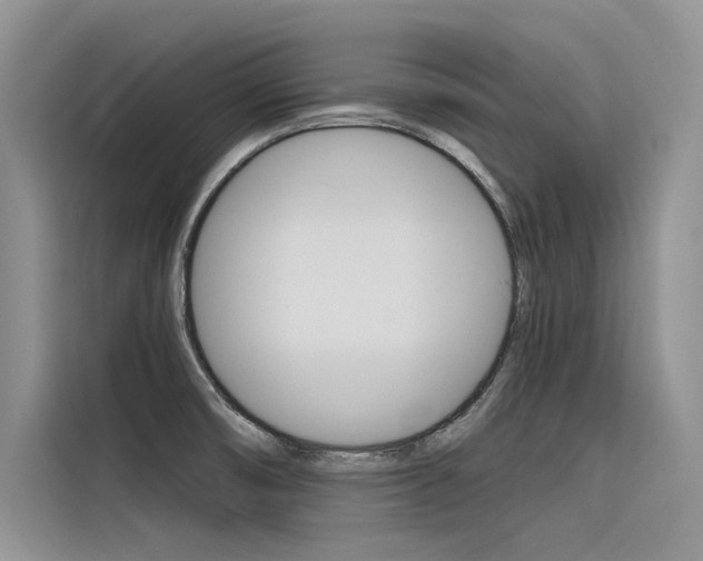 X0000116381474200912020936