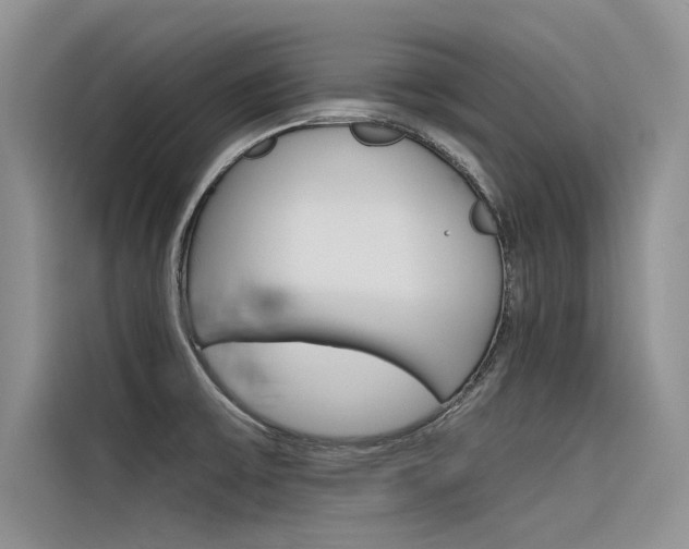 X0000116381475200912020936