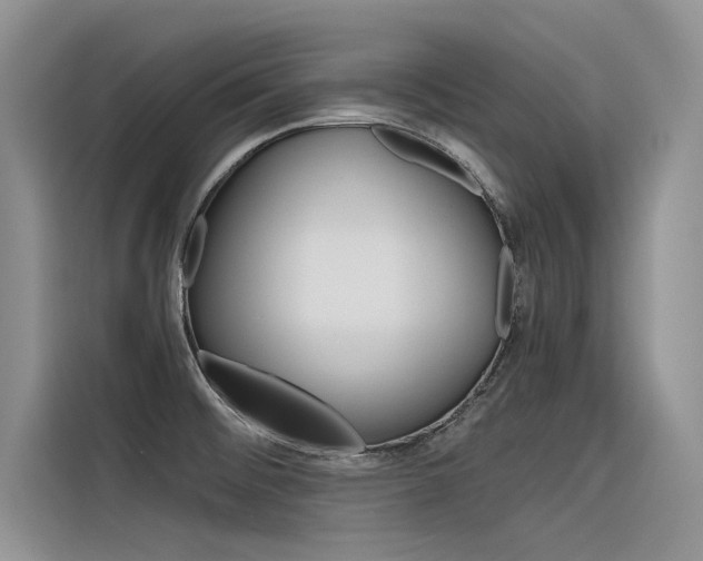 X0000116381476200912020936