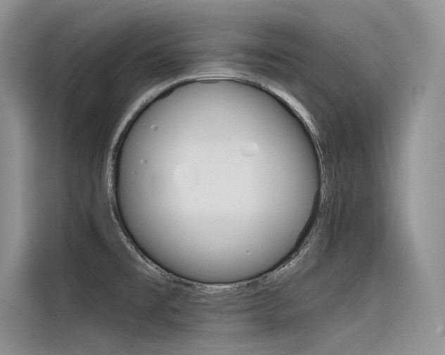 X0000116381477200912020936