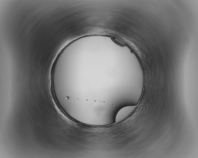X0000116381479200912020936