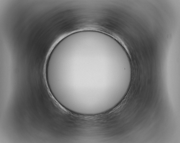 X0000116381480200912020936