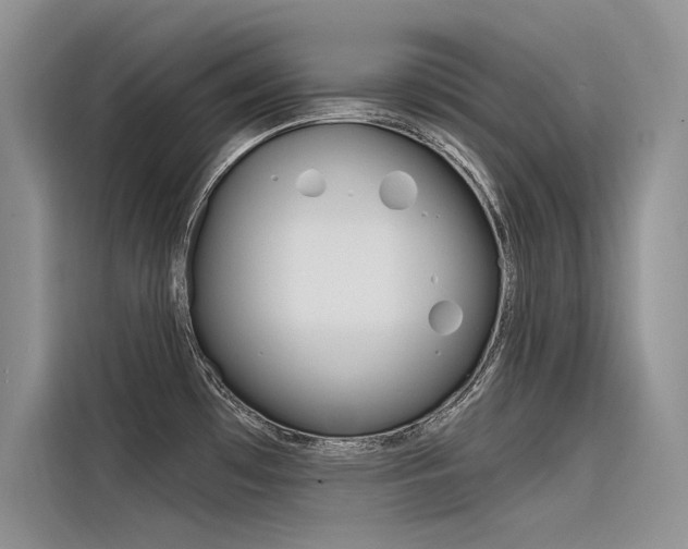 X0000116381481200912020936