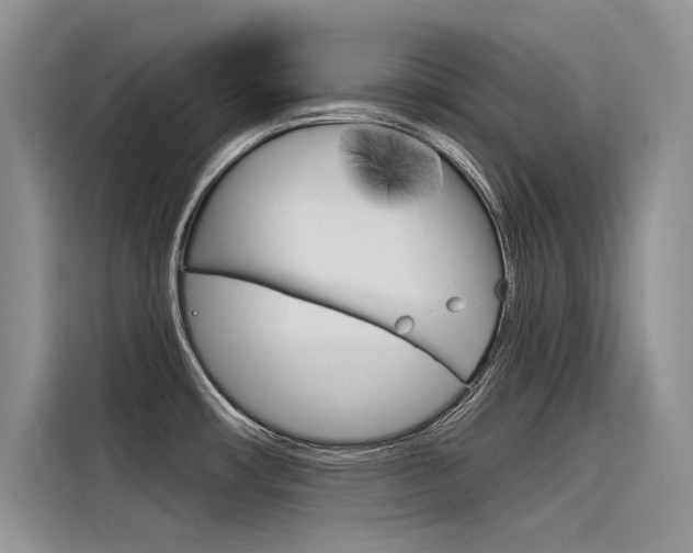 X0000116381482200912020936