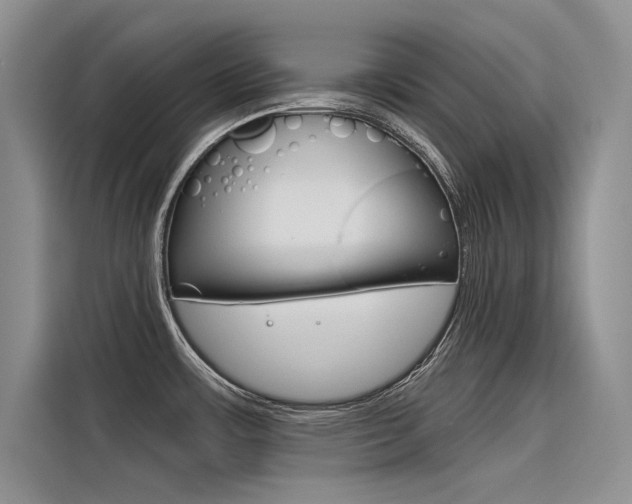 X0000116381483200912020936