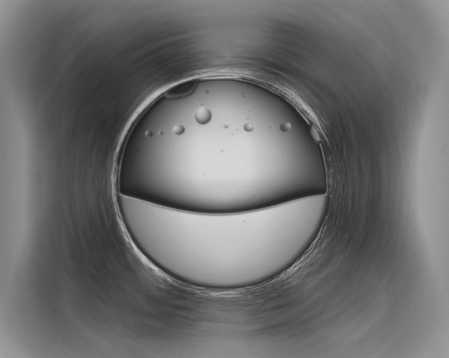 X0000116381484200912020935