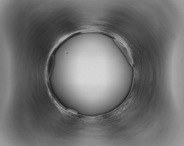 X0000116381485200912020935