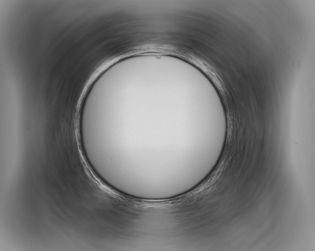 X0000116381486200912020935