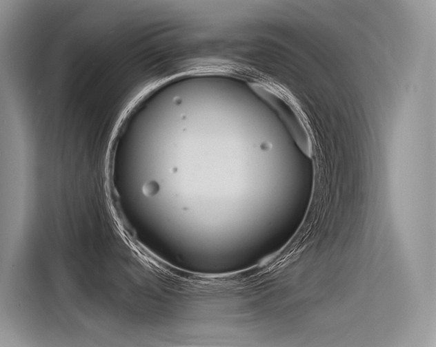 X0000116381488200912020935