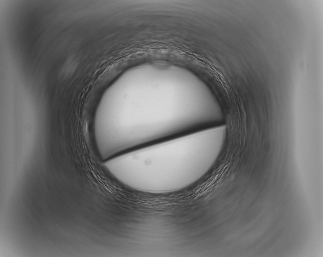 X0000116381489200912020935
