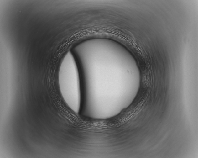 X0000116381490200912020935
