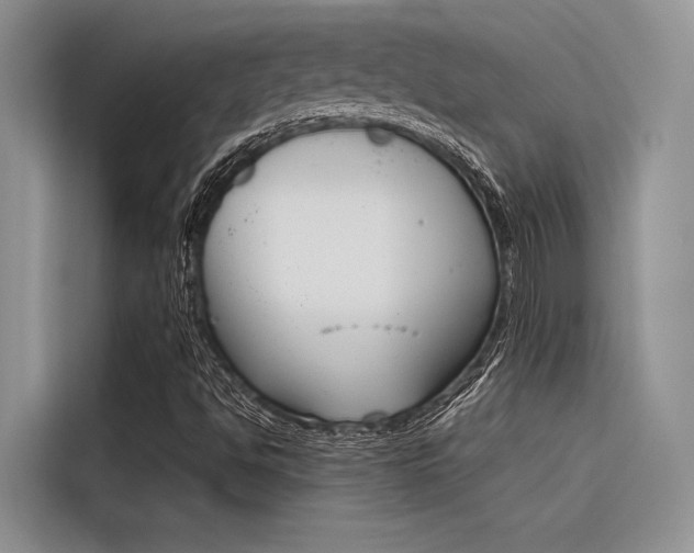 X0000116381494200912020935