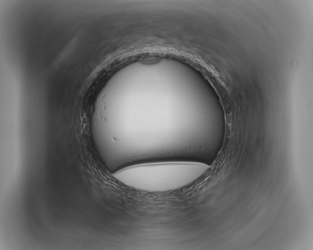 X0000116381495200912020935
