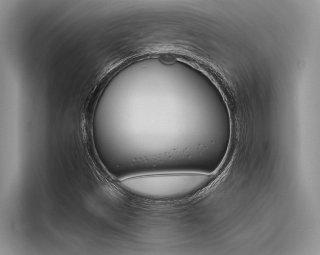 X0000116381497200912020935